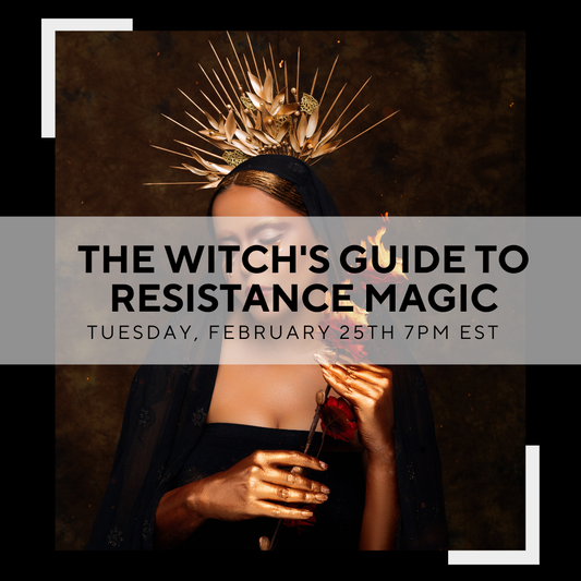 The Witch's Guide to Resistance Magic